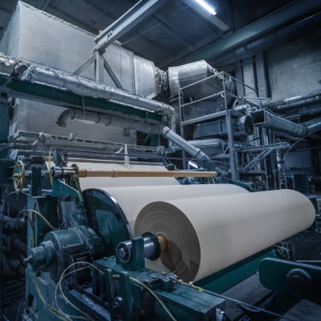 Pulp and Paper